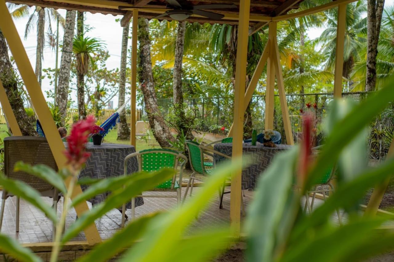Hotel Tierra Verde Bed And Breakfast โบกัสทาวน์ ภายนอก รูปภาพ