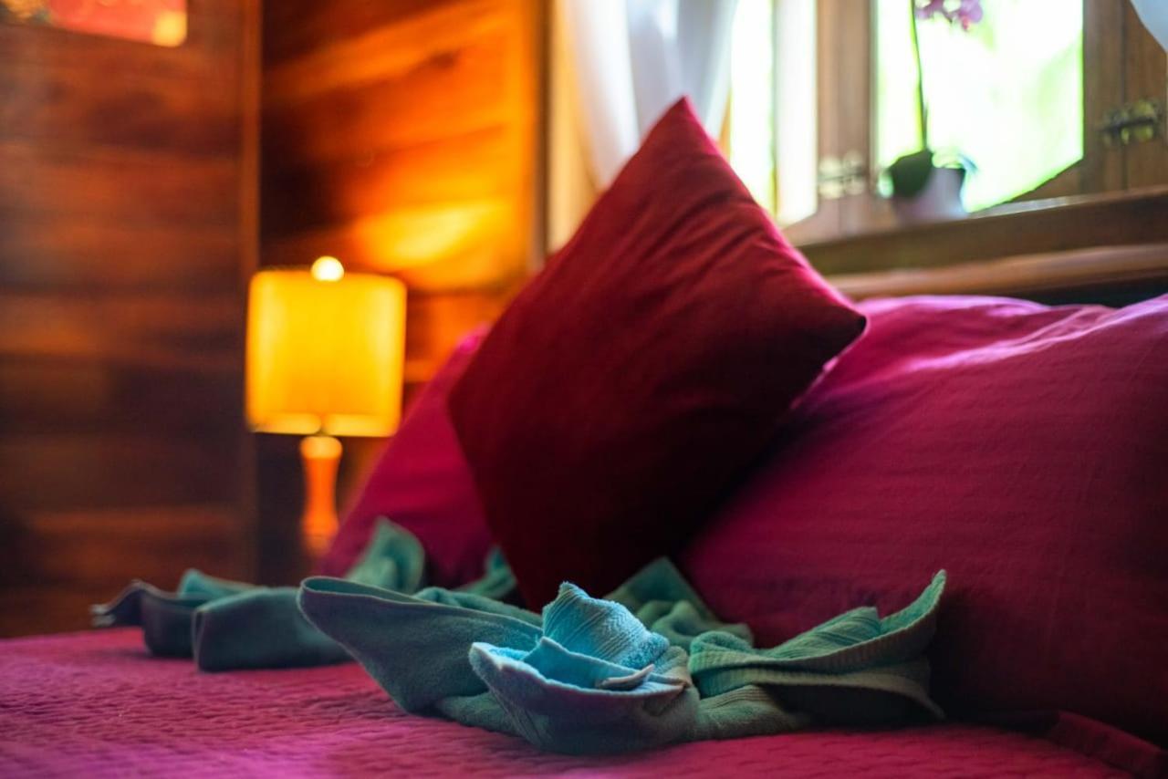 Hotel Tierra Verde Bed And Breakfast โบกัสทาวน์ ภายนอก รูปภาพ