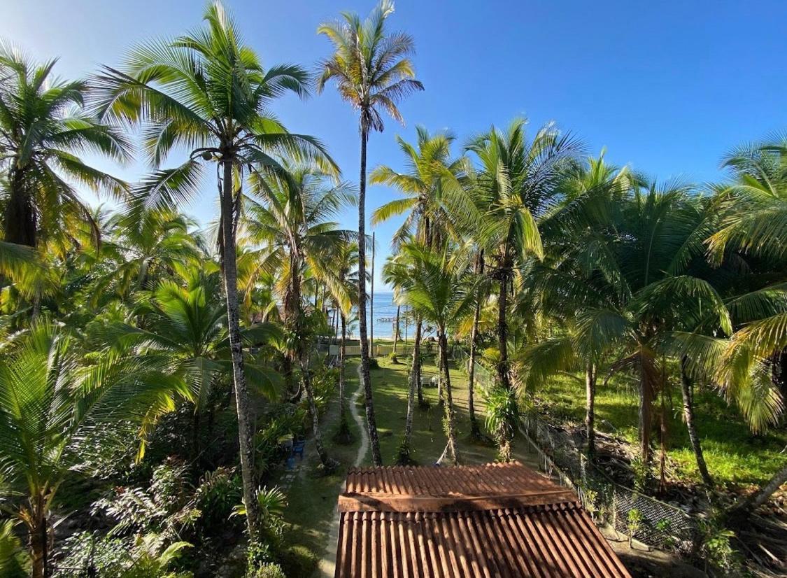 Hotel Tierra Verde Bed And Breakfast โบกัสทาวน์ ภายนอก รูปภาพ