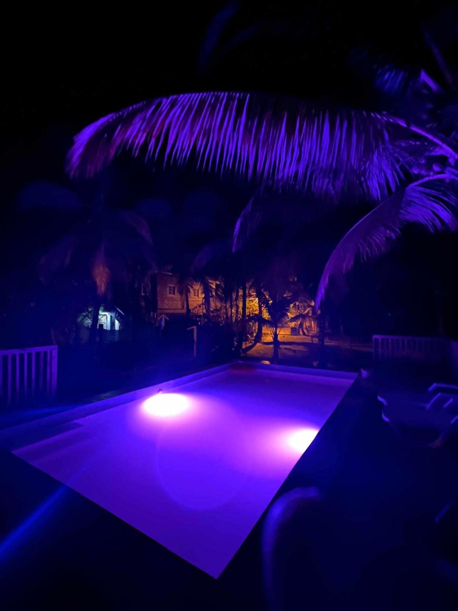 Hotel Tierra Verde Bed And Breakfast โบกัสทาวน์ ภายนอก รูปภาพ