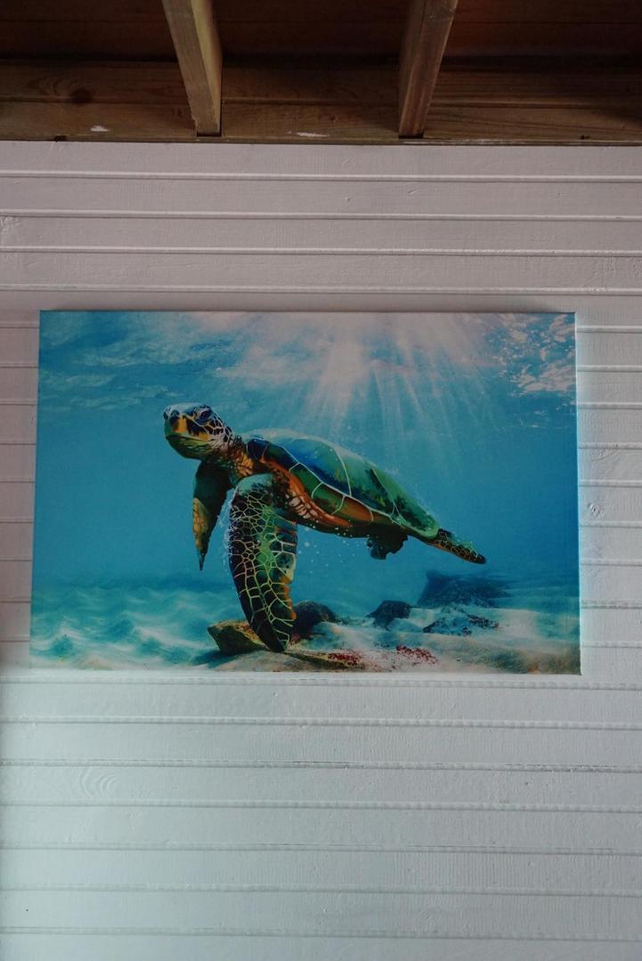 Hotel Tierra Verde Bed And Breakfast โบกัสทาวน์ ภายนอก รูปภาพ