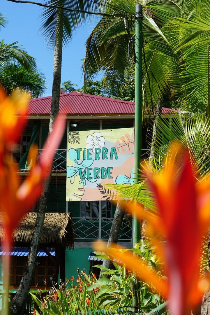 Hotel Tierra Verde Bed And Breakfast โบกัสทาวน์ ภายนอก รูปภาพ