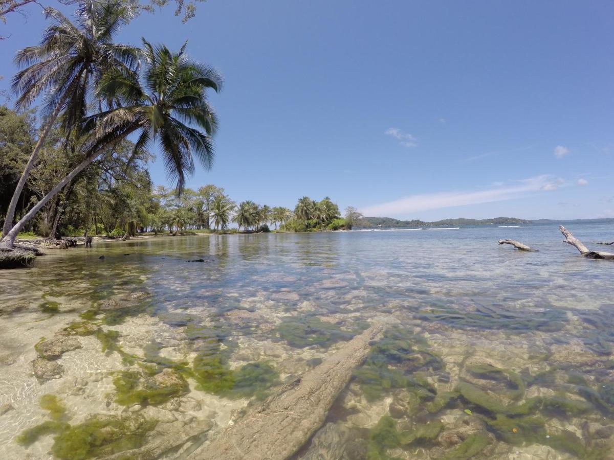Hotel Tierra Verde Bed And Breakfast โบกัสทาวน์ ภายนอก รูปภาพ